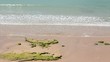 Waves in Atlantic coast of St.Eulalia beach, Algarve. Portugal