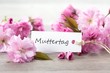 Foto: Muttertag Muttertag
