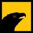 Vector: Eagle icon Eagle icon