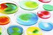 Photo : Laboratoite biologique - Boites de pétri Laboratoite biologique - Boites de pétri