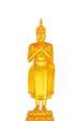 isolated buddha statue