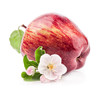Red Apple with flowers isolated on white