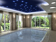 rendering of a luxurious  indoor swimming pool