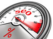 seo meter hundred per cent