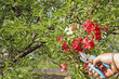 Gardening