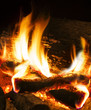 detalle de hoguera y leña ardiendo