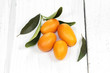 kumquat