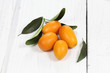 kumquat