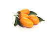 kumquat