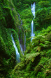 Foto : Madakaripura Waterfall, East Java, Indonesia Madakaripura Waterfall, East Java, Indonesia