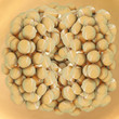 Fat cells - 3D Render