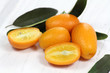 kumquat