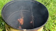 ecologic fish hang smoke in smokehouse rusty barrel