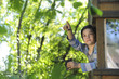 Foto: Enfant observant la nature dans sa cabane Enfant observant la nature dans sa cabane