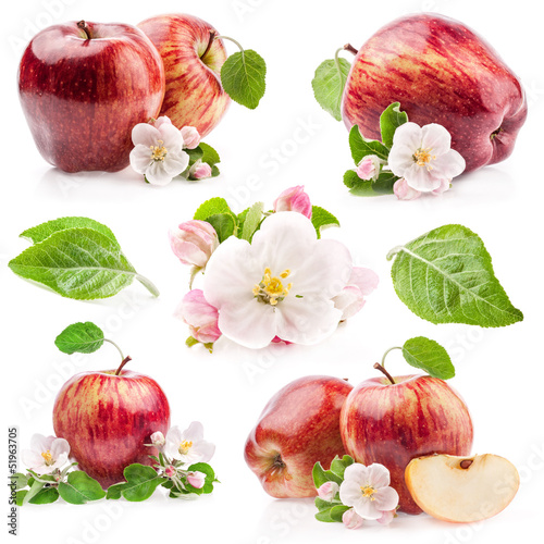 Photo: Collection of Red Apples with flowers isolated on white Collection of Red Apples with flowers isolated on white