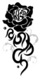 Black Rose, Tattoo, Tribal