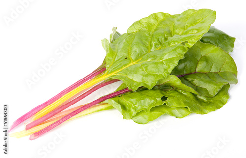 Photo: swiss chard isolated on white swiss chard isolated on white
