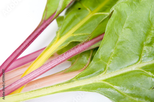 Photo: swiss chard swiss chard