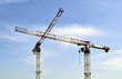 Photo: Construction Cranes Construction Cranes