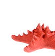 sea starfish isolated