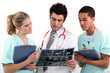 A doctor and his assistants checking a radiography.