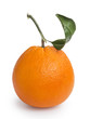 ripe round orange with stem and leaf