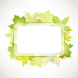 green leaves background