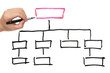 Photo: Organization chart Organization chart