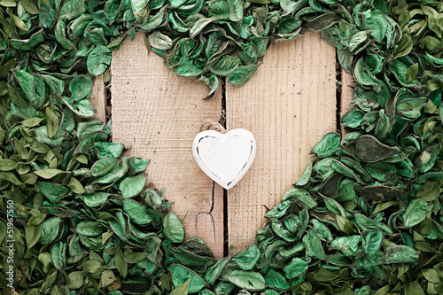 Photo: nature in love nature in love