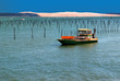 Paysage Du Cap-Ferret.