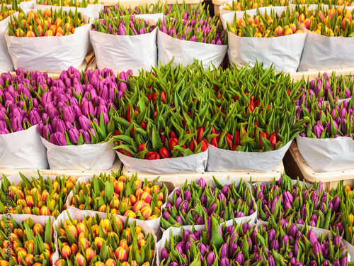 Photo: Assortment of colorful tulips in a flower shop Assortment of colorful tulips in a flower shop