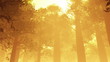 Video: Magic Deep Forest Fairy Tale Scene 3D artwork Magic Deep Forest Fairy Tale Scene 3D artwork