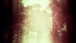 Magic Deep Forest Fairy Tale Scene 3D artwork