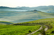 Countryside, San Quirico´Orcia , Tuscany, Italy
