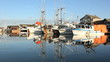 Steveston Fisherman's Wharf Reflections