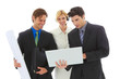 happy young attractive business team