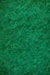 Green abrasive sponge