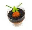 Rad and Black caviar