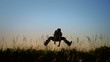 Man Doing a Split in the air - Super Slowmotion