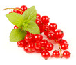 Ribes con foglie di menta