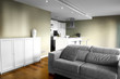 kitchen and sofa