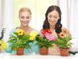 Foto: housewife with flower in pot and gardening set housewife with flower in pot and gardening set