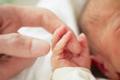 Newborn