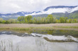 Photo: Malpasso lake, cane thicket, Valsusa, Italy Malpasso lake, cane thicket, Valsusa, Italy