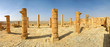 Ancient ruins of town of Avdat in Israel.