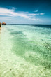 the tropical sea with blue water and sprats, Maldives