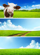 Photo: set of spring banners set of spring banners