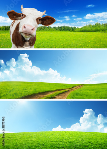 Photo: set of spring banners set of spring banners