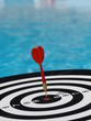 dartboard floating blue water
