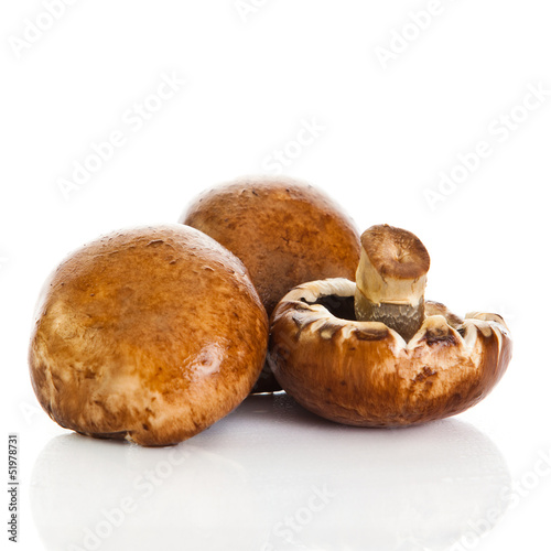 Photo: Fresh mushroom champignon isolated on white background . fresh Fresh mushroom champignon isolated on white background . fresh